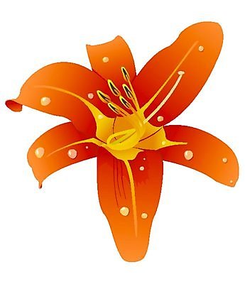 EPS 해외이미지 클립아트 식물 계절 꽃잎 꽃 백그라운드 꽃무늬 오렌지 일러스트 자연 선물 장식 물 노란색 봄 젖음 성장 벚꽃 흰색 물방울 신선 난초 싱글 고립 해외202004 해외일러스트 자연요소 컬러 무늬 과일 생태계 파일형식 벡터 이미지허브