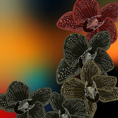 EPS 해외이미지 식물 템플릿 디자인 종이 분홍색 꽃다발 여행 백그라운드 컨셉 패턴 일러스트 텍스트 통신 자연 벽지 추상 미술 내부 장식 빛 컬러풀 유행 우주 검은색 스파 어둠 공백 회색 정보 벚꽃 축하 직물 신용카드 난초 우아함 질감 복고 엘리먼트 스타일 해외202004 해외일러스트 꽃 컬러 무늬 문화예술 금융 생태계 파일형식 벡터 이미지허브