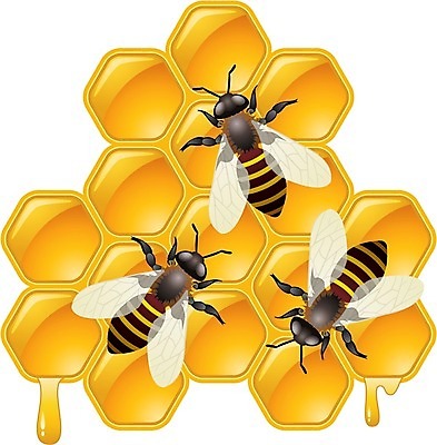 EPS 해외이미지 모양 동물 라이프스타일 곤충 백그라운드 컨셉 오렌지 일러스트 모션 추상 세포 안테나 건강 빛 약 갈색 노란색 줄무늬 흐름 물방울 신선 업무 황금 닫기 벌레 떨어짐 꿀벌 대표 설탕 벌 생물학 바쁨 꽃가루 시럽 육각형 꿀 벌집 내추럴 생태학 왁스 효율 디테일 해외202004 해외일러스트 도형 교육 컬러 무늬 과일 통신 의학 생활 작업 벌_곤충 가루 파일형식 벡터 이미지허브