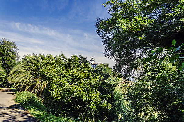 포토 JPG 해외이미지 나무 유럽 도로 길 자연 하늘 산 풍경 사람없음 초록색 파란색 컬러풀 환경 스페인 해외202004 해외포토 식물 나라 컬러 교통시설 생태계 파일형식 이미지허브