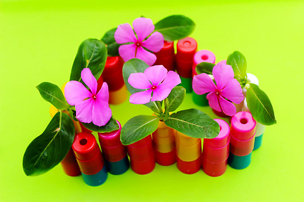 포토 JPG 해외이미지 모양 식물 디자인 기념일 꽃잎 꽃 분홍색 결혼 백그라운드 꽃무늬 자연 발렌타인데이 사랑 사람없음 장식 빨간색 장미 봄 수확 벚꽃 흰색 하트 축하 신용카드 심볼 해외202004 해외포토 계절 감정 컬러 컨셉 무늬 농업 데이이벤트 이벤트 금융 생태계 파일형식 이미지허브