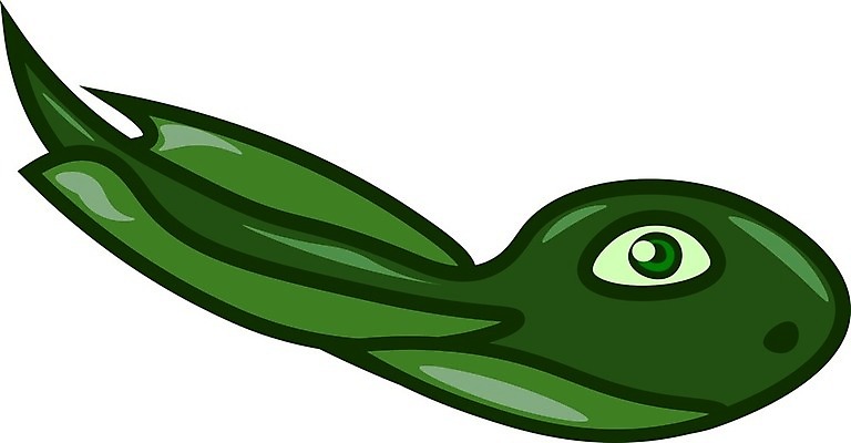 EPS 해외이미지 동물 호수 야생동물 일러스트 자연 개구리 양서류 물 환경 점프 아기 연못 습지 그림 순환 수족관 두꺼비 끈적임 해외202004 해외일러스트 자연요소 모션 사람 생태계 파일형식 벡터 이미지허브