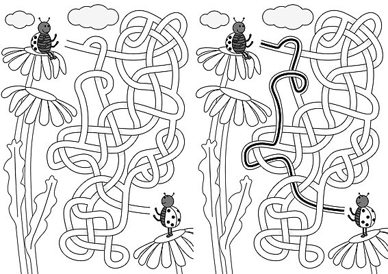 EPS 해외이미지 교육 꽃 길 일러스트 검은색 게임 흰색 퍼즐 만화 그림 무당벌레 미로 해결 구성 쉬운 해외202004 해외일러스트 식물 컬러 곤충 놀이 파일형식 벡터 이미지허브