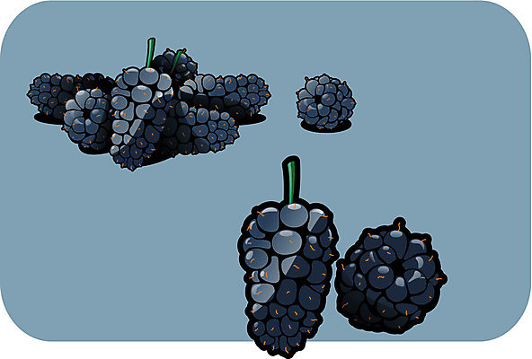 EPS 해외이미지 식물 문화 음식 과일 일러스트 자연 건강 미술 파란색 검은색 만화 스케치 먹기 심볼 그림 유기농 고립 바이오 숙성 채식주의자 해외202004 해외일러스트 웰빙 컬러 모션 문화예술 생태계 채식 파일형식 벡터 이미지허브