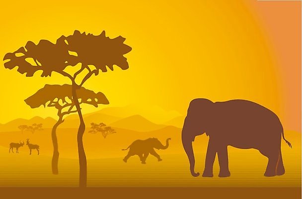 EPS 해외이미지 나무 식물 동물 디자인 공원 실루엣 야생동물 여행 백그라운드 오렌지 일러스트 아프리카 자연 아침 코끼리 미술 풍경 가로 여름 햇빛 태양 노란색 일출 검은색 황혼 일몰 새벽 뜨거움 황금 땅 기린 사파리 그림 클립 분화구 케냐 아카시아 7 광 세렝게티 전국 탄자니아 해외202004 해외일러스트 주간 자연요소 계절 공공시설 나라 컬러 과일 포유류 문화예술 촬영기법 숫자 노을 생태계 화산 파일형식 벡터 이미지허브