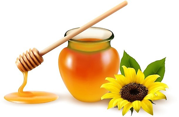 EPS 해외이미지 식물 꽃 음식 백그라운드 컨셉 다이어트 일러스트 재료 자연 유리 해바라기 디저트 건강 노란색 흐름 흰색 신선 항아리 액체 막대기 황금 달콤 맛 떨어짐 냄비 상품 설탕 먹기 오브젝트 메뉴 국자 유기농 날것 꿀 내추럴 도발 어려움 해외202004 해외일러스트 웰빙 컬러 모션 재질 주방용품 도자기 솥 생태계 파일형식 벡터 이미지허브