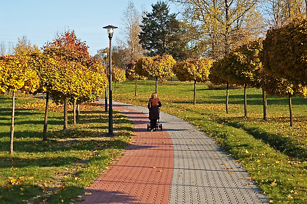 포토 JPG 해외이미지 나무 공원 여자 엄마 한명 성인 청춘 걷기 산책 가을 아기 아스팔트 해외202004 해외포토 식물 1 계절 공공시설 도로 컨셉 가족 모션 휴식 사람 파일형식 이미지허브