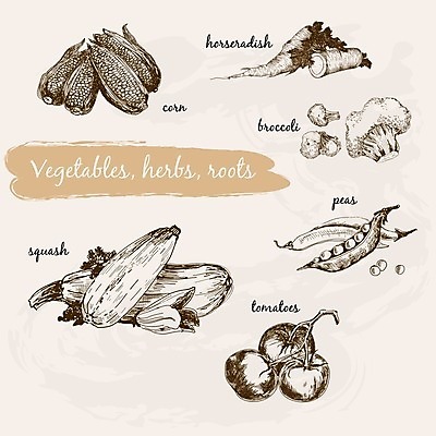 EPS 해외이미지 디자인 음식 다이어트 토마토 채소 일러스트 감자 건강 마늘 옥수수 요리 장식 세트 정원 수확 성장 신선 그리기 맛 낙서 브로콜리 수집 허브 그림 에코 완두콩 뿌리 손그림 스쿼시 바이오 엘리먼트 옛날 주키니호박 채식주의자 비건 해외202004 해외일러스트 식물 스포츠 컨셉 농업 모션 콩 곡류 구기 환경 채식 파일형식 벡터 이미지허브