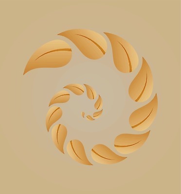 EPS 해외이미지 디자인 계절 종이 백그라운드 컨셉 일러스트 비즈니스 모션 자연 벽지 나선형 그래픽 초록색 노란색 재활용 흐름 에너지 성장 가을 원형 신용카드 역동적 순환 오르기 엽서 시트 떠남 생태학 지속성 목차 해외202004 해외일러스트 도형 교육 컬러 무늬 금융 편지 친환경 생태계 파일형식 벡터 이미지허브