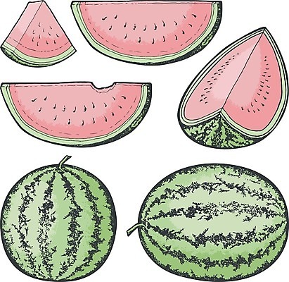 EPS 해외이미지 과일 일러스트 수박 빨간색 초록색 여름 스케치 해외202004 해외일러스트 계절 컬러 미술 파일형식 벡터 이미지허브