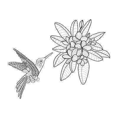 EPS 해외이미지 식물 디자인 꽃 백그라운드 잎 꽃무늬 일러스트 자연 그래픽 여름 검은색 스파 벚꽃 흰색 심볼 그림 하와이 발리 페이지 고립 벌새 아열대 엘리먼트 이국적 하와이인 해외202004 해외일러스트 외국인 계절 컬러 섬 무늬 미국 생태계 인도네시아 파일형식 벡터 이미지허브