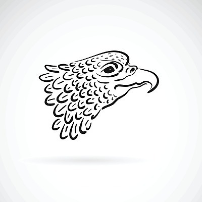 EPS 해외이미지 동물 디자인 실루엣 얼굴 야생동물 백그라운드 패턴 일러스트 자연 조류 잉크 미술 사람없음 그래픽 장식 머리 라벨 검은색 미국 힘 자유 만화 스케치 문신 심볼 깃털 사인 그림 부리 윤곽 독수리 육식동물 대머리 휘장 고립 마스코트 엘리먼트 웅장함 해외202004 해외일러스트 헤어스타일 컬러 컨셉 북아메리카 무늬 문화예술 프레임 촬영기법 신체부위 생태계 파일형식 벡터 아메리카 사람 대륙 이미지허브
