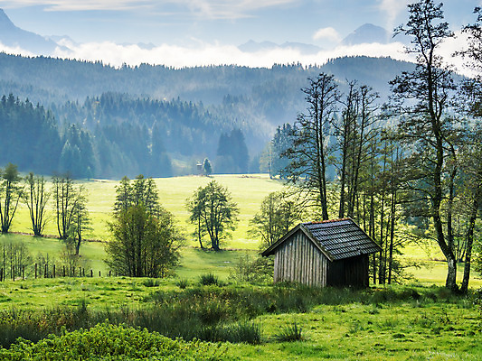 포토 JPG 해외이미지 계절 꽃 유럽 여행 자연 하늘 휴가 산 독일 풍경 사람없음 초록색 여름 파란색 마을 하이킹 가을 정상 오두막 속도 알프스 이웃 바이에른 바이에른사람 해외202004 해외포토 식물 나라 컬러 레저 생태계 파일형식 이미지허브