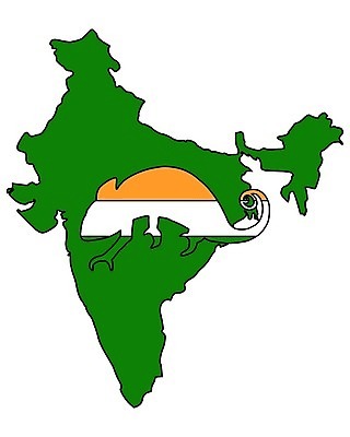 EPS 해외이미지 동물 배너 실루엣 아시아 백그라운드 오렌지 일러스트 초록색 흰색 깃발 심볼 사인 도마뱀 고립 동물상 전국 카멜레온 해외202004 해외일러스트 나라 컬러 과일 파충류 촬영기법 조형물 파일형식 벡터 이미지허브