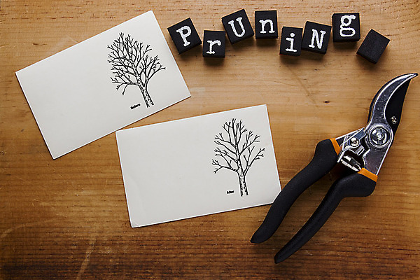 포토 JPG 해외이미지 나무 식물 종이 건조 사람 사람없음 야외 목재 금속 정원 기계 장비 나뭇가지 공구 업무 플라스틱 과수원 자르기 오브젝트 부식 원예 날카로움 슛 다듬기 옛날 원예사 철강 전후 해외202004 해외포토 직업 농업 재료 모션 재질 취미 도구 작업 비교 파일형식 이미지허브