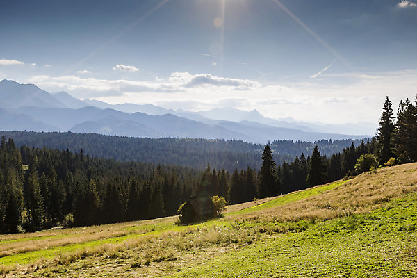 포토 JPG 해외이미지 나무 구름 공원 유럽 길 호수 여행 자연 하늘 산 파노라마 풍경 사람없음 초록색 물 여름 파란색 반사 계곡 맑음 침묵 봄 가을 바위 소나무 정상 숲 언덕 광택 폴란드 내추럴 슬로바키아 절정 해외202004 해외포토 자연요소 식물 계절 공공시설 나라 컬러 날씨 촬영기법 소리 돌_바위 생태계 파일형식 이미지허브