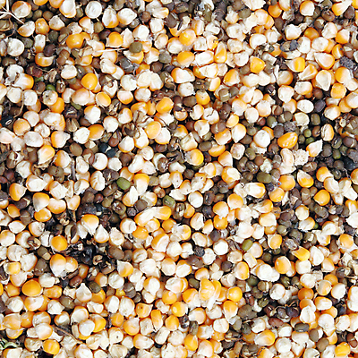 포토 JPG 해외이미지 문화 음식 백그라운드 패턴 농업 다이어트 채소 재료 자연 콩 건조 건강 옥수수 씨앗 사람없음 초록색 빛 농작물 노란색 쌓기 젖음 신선 황금 닫기 달콤 맛 시리얼 먹기 가득함 유기농 질감 완두콩 날것 성분 덩어리 내추럴 식용 채식주의자 많음 해외202004 해외포토 식물 웰빙 산업 컬러 컨셉 무늬 모션 곡류 생태계 채식 파일형식 이미지허브