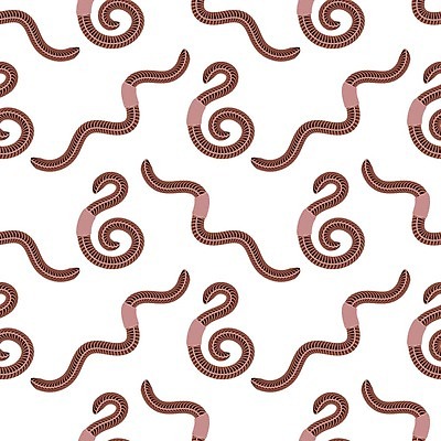 EPS 해외이미지 동물 지구 야생동물 분홍색 곤충 백그라운드 패턴 농업 신체 일러스트 자연 낚시 장식 빨간색 갈색 젖음 흰색 닫기 벌레 이슬 유혹 질감 생물학 각도 먼지 미끼 내추럴 기어가기 고립 끈적임 해외202004 해외일러스트 교육 산업 컬러 컨셉 무늬 모션 레저 생태계 파일형식 벡터 이미지허브