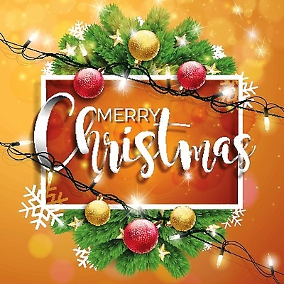 EPS 해외이미지 나무 디자인 배너 계절 행복 별 종이 백그라운드 크리스마스 겨울 일러스트 텍스트 공 자연 추상 휴가 새로움 프레임 미술 타이포그라피 목재 장식 빛 파티 라벨 축제 화환 수확 나뭇가지 축하 인사 소나무 신용카드 황금 클래식 연도 질감 복고 초대 타입 그런지 엘리먼트 해외202004 해외일러스트 자연요소 식물 문자 기념일 꽃 감정 컨셉 무늬 농업 재료 문화예술 이벤트 금융 예절 생태계 파일형식 벡터 이미지허브