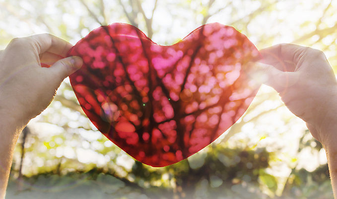 포토 JPG 해외이미지 백그라운드 컨셉 자연 불꽃 발렌타인데이 관리 사랑 한명 들기 빨간색 초록색 햇빛 태양 환경 하트 잡기 달콤 큼 돌봄 그리너리 해외202004 해외포토 자연요소 모양 1 감정 컬러 모션 데이이벤트 불 사람 맛 크기 생태계 파일형식 트랜드컬러 이미지허브