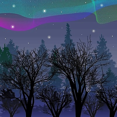 EPS 해외이미지 나무 템플릿 디자인 계절 공원 실루엣 별 선 백그라운드 잎 일러스트 자연 벽지 하늘 날씨 추상 전등 새로움 파노라마 풍경 경사 그래픽 장식 빛 컬러풀 반사 우주 환경 어둠 황혼 줄무늬 공백 활발 손상 젖음 가을 물방울 얼룩 투명 액체 야간 숲 인쇄 신비 북극 순수 북쪽 마법 오로라 깊이 블러 엘리먼트 환상 해외202004 해외일러스트 자연요소 식물 공공시설 컬러 컨셉 무늬 자연현상 조명 촬영기법 일몰 극지방 방향 생태계 파일형식 벡터 이미지허브
