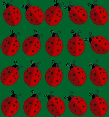 EPS 해외이미지 식물 동물 행복 야생동물 곤충 백그라운드 일러스트 자연 미술 여름 흰색 닫기 벌레 작음 만화 딱정벌레 생물학 무당벌레 광택 해외202004 해외일러스트 계절 교육 감정 컬러 모션 문화예술 크기 생태계 파일형식 벡터 이미지허브