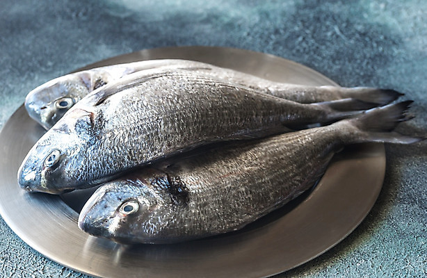 포토 JPG 해외이미지 접시 회색배경 사람없음 날것 도미 해외202004 해외포토 식기 백그라운드 어류 회색 파일형식 이미지허브