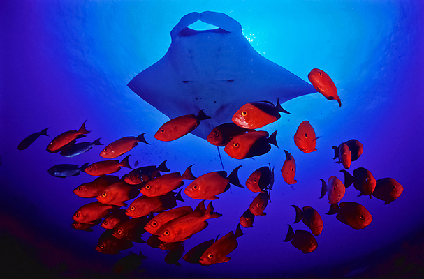 포토 JPG 해외이미지 바다 사람없음 해외202004 해외포토 파일형식 이미지허브