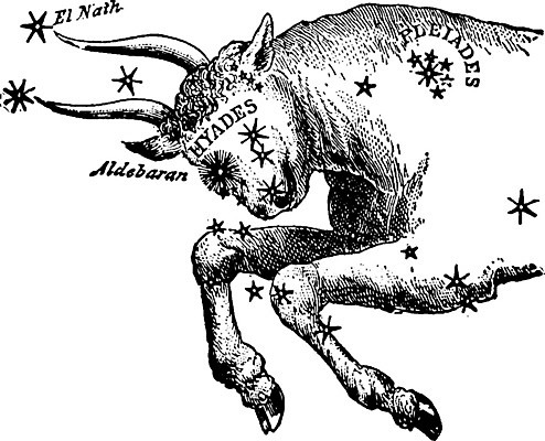 EPS 해외이미지 선 일러스트 별자리 수확 그림 황소 황소자리 해외202004 해외일러스트 농업 소 파일형식 벡터 이미지허브