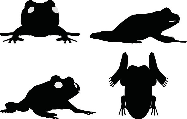 EPS 해외이미지 모양 실루엣 포즈 일러스트 개구리 그림자 그래픽 검은색 스케치 흰배경 윤곽 고립 방목장 엘리먼트 해외202004 해외일러스트 컬러 백그라운드 촬영기법 양서류 미술 흰색 파일형식 벡터 이미지허브