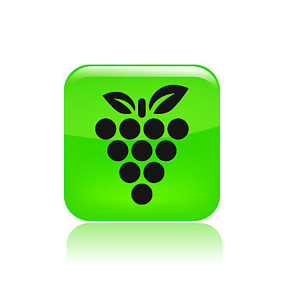 EPS 해외이미지 음식 농업 과일 일러스트 자연 포도 와인 심볼 영양분 작살 해외202004 해외일러스트 산업 주류 생태계 파일형식 벡터 이미지허브