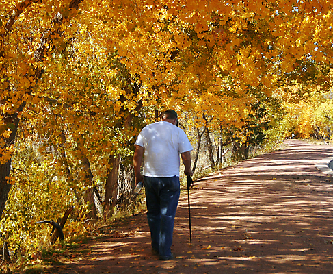 포토 JPG 해외이미지 남자 도로 길 중년 잎 자연 지팡이 한명 사람 산책 가을 청바지 옛날 해외202004 해외포토 식물 1 계절 바지 교통시설 휴식 성인 생태계 파일형식 이미지허브
