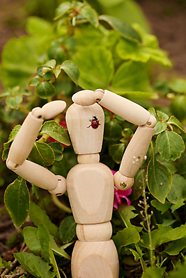 포토 JPG 해외이미지 동물 1 손 얼굴 곤충 잎 자연 관리 사람 사람없음 야외 초록색 장난감 노란색 정원 사진촬영 닫기 즐거움 싱글 무당벌레 해외202004 해외포토 식물 감정 컬러 모션 신체부위 촬영 생태계 파일형식 이미지허브