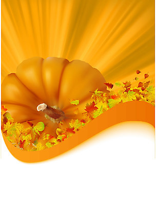 EPS 해외이미지 식물 계절 백그라운드 단풍 잎 캐나다 채소 오렌지 일러스트 자연 호박 장식 빨간색 초록색 컬러풀 노란색 활발 할로윈 젖음 수확 가을 흰색 신용카드 변화 황금 작음 11월 자르기 박 추수감사절 스쿼시 10월 고립 미니 해외202004 해외일러스트 기독교 스포츠 컬러 컨셉 북아메리카 농업 과일 모션 금융 구기 날짜 크기 생태계 파일형식 벡터 이미지허브