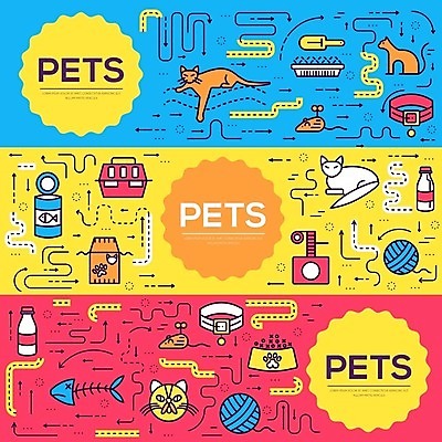 EPS 해외이미지 캐릭터 일러스트 포유류 조류 동물원 개구리 어류 컬러풀 머리 상점 고양이 껍질 돼지 뱀 거북이 개 강아지 벌레 쥐 설치류 큼 달팽이 다람쥐 앵무새 거미 수족관 수의사 난쟁이 유래 이국적 카멜레온 미니멀리스트 해외202004 해외일러스트 일러캐릭터 동물 컬러 곤충 파충류 연체동물 양서류 신체부위 반려동물 수중동물 의사 크기 파일형식 벡터 무척추동물 사람 의료진 직업 의학 이미지허브