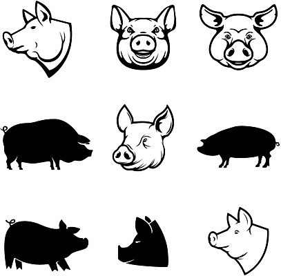 EPS 해외이미지 동물 템플릿 디자인 실루엣 음식 스티커 일러스트 육류 돼지고기 스테이크 빨간색 세트 농장 머리 꼬리표 라벨 상점 식당 검은색 소고기 수확 신선 돼지 시장 계획 상품 심볼 사인 메뉴 유기농 복고 햄 날것 심플 배지 갈비뼈 우표 내추럴 고립 엘리먼트 정육점 프리미엄 해외202004 해외일러스트 웰빙 컬러 컨셉 농업 식재료 포유류 뼈 프레임 서양음식 촬영기법 신체부위 파일형식 벡터 이미지허브