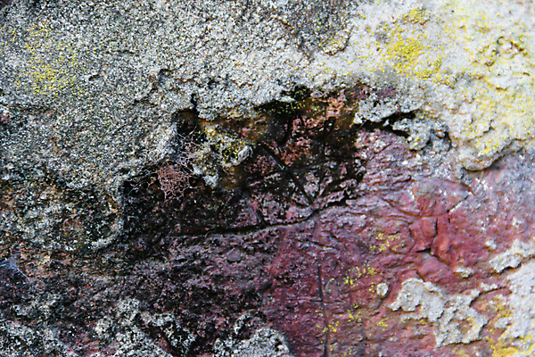 포토 JPG 해외이미지 디자인 벽 백그라운드 표면 추상 벽돌 이끼 미술 사람없음 장식 빨간색 컬러풀 갈색 검은색 페인트 골동품 흰색 얼룩 질감 시멘트 곰팡이 그런지 석고 옛날 콘크리트 해외202004 해외포토 컬러 무늬 문화예술 파일형식 이미지허브