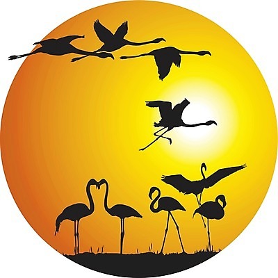 EPS 해외이미지 동물 실루엣 오렌지 일러스트 조류 일몰 원형 플라밍고 해외202004 해외일러스트 도형 과일 촬영기법 노을 파일형식 벡터 이미지허브