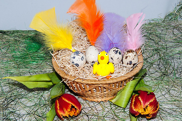 포토 JPG 해외이미지 전통 디자인 계절 꽃 컨셉 조류 휴가 부활절 병아리 사람없음 장식 컬러풀 노란색 바구니 계란 치킨 봄 축하 작음 심볼 솜털 해외202004 해외포토 식물 동물 기념일 컬러 알 크기 닭고기요리 파일형식 이미지허브