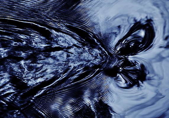 포토 JPG 해외이미지 접시 음료 파도 바다 백그라운드 패턴 모션 자연 표면 추상 미술 사람없음 초록색 물 파란색 빛 반사 환경 금속 수중 스파 흐름 추위 가을 흰색 물방울 신선 투명 개울 떨어짐 시원함 순수 속도 질감 웨이브 잔물결 스플래쉬 해외202004 해외포토 자연요소 식기 계절 물결 컬러 컨셉 무늬 재질 문화예술 강 생태계 파일형식 이미지허브