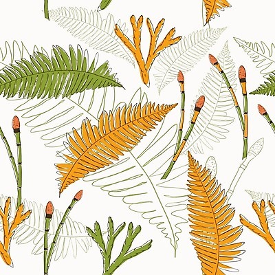 EPS 해외이미지 식물 디자인 계절 아시아 종이 백그라운드 잎 꽃무늬 패턴 일러스트 캘리그라피 자연 벽지 휴가 휴식 열대 노르웨이 이끼 장식 초록색 여름 수확 나뭇가지 화려 숲 에코 생태계 휴양지 질감 러시아 초대 손그림 북쪽 남쪽 생태학 양치류 엘리먼트 파라다이스 해외202004 해외일러스트 나무 교육 꽃 유럽 나라 컬러 컨셉 무늬 농업 환경 장소 방향 파일형식 벡터 이미지허브