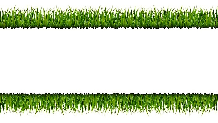 EPS 해외이미지 클립아트 모양 식물 디자인 계절 꽃 실루엣 백그라운드 잎 꽃무늬 밭 일러스트 프레임 잔디 가로 초록색 세트 정원 봄 흰색 신용카드 말벌 땅 수집 허브 오브젝트 그림 에코 유기농 조경 내추럴 고립 생태학 엘리먼트 해외202004 해외일러스트 웰빙 교육 컬러 무늬 농업 촬영기법 금융 환경 벌_곤충 파일형식 벡터 이미지허브