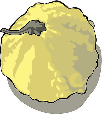 EPS 해외이미지 모양 식물 줄기 백그라운드 농업 채소 오렌지 일러스트 자연 호박 종류 장식 초록색 세트 컬러풀 줄무늬 활발 미니어처 할로윈 가을 흰색 그룹 혼합 작음 자르기 수집 묘사 오브젝트 슛 박 모음 추수감사절 스쿼시 고립 조롱박 많음 해외202004 해외일러스트 계절 산업 기독교 스포츠 컬러 컨셉 무늬 과일 모션 구기 모형 크기 생태계 파일형식 벡터 이미지허브