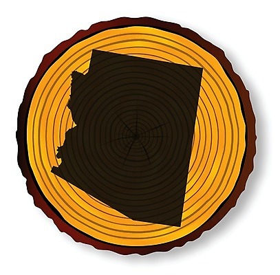 EPS 해외이미지 실루엣 지도 일러스트 부분 미술 목재 그래픽 낟알 그림 통나무 종료 고립 수목 해외202004 해외일러스트 나무 재료 문화예술 촬영기법 파일형식 벡터 이미지허브