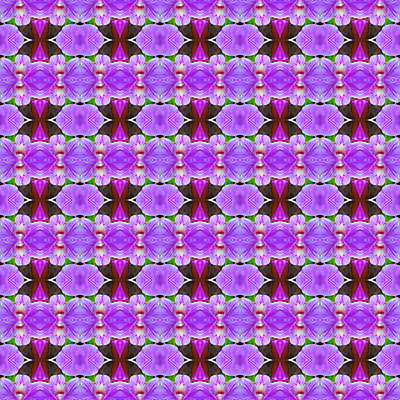 포토 JPG 해외이미지 식물 디자인 꽃잎 꽃 줄기 꽃다발 백그라운드 잎 꽃무늬 패턴 자연 벽지 추상 선물 사람없음 장식 초록색 컬러풀 보라색 벚꽃 나뭇가지 신선 난초 우아함 제비꽃 즐거움 호접란 내추럴 해외202004 해외포토 나무 감정 컬러 컨셉 무늬 생태계 파일형식 이미지허브