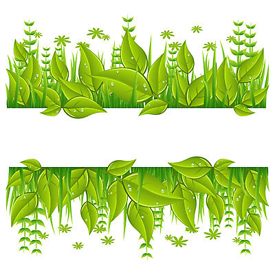 EPS 해외이미지 식물 디자인 배너 포스터 선 백그라운드 잎 패턴 밭 일러스트 자연 벽지 추상 프레임 그래픽 가로 초록색 여름 세트 우주 환경 정원 흰색 신선 땅 수집 심볼 에코 원예 내추럴 고립 생태학 엘리먼트 스타일 해외202004 해외일러스트 계절 교육 컬러 무늬 농업 취미 생태계 파일형식 벡터 이미지허브