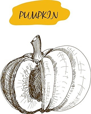 EPS 해외이미지 조각 채소 과일 일러스트 호박 잉크 육류 씨앗 할로윈 수확 가을 신선 낙서 스케치 자르기 피부 그림 에코 판화 채식주의자 비건 해외202004 해외일러스트 식물 계절 농업 식재료 모션 미술 신체부위 환경 채식 파일형식 벡터 이미지허브