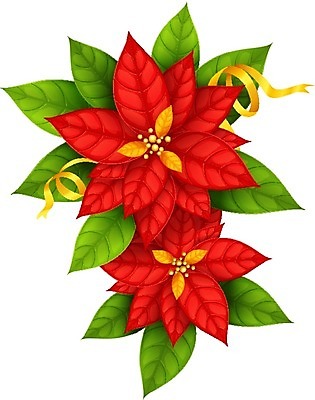 EPS 해외이미지 1 전통 계절 꽃잎 꽃 별 리본 화분 꽃다발 백그라운드 잎 크리스마스 일러스트 자연 휴가 장식 초록색 벚꽃 흰색 축하 개화 황금 정상 심볼 오브젝트 싱글 포인세티아 내추럴 고립 진짜 타격 해외202004 해외일러스트 자연요소 식물 기념일 컬러 컨셉 모션 생태계 파일형식 벡터 이미지허브