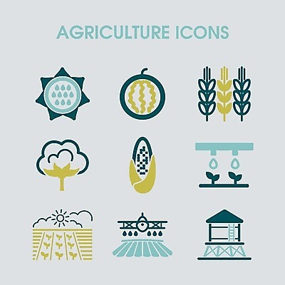 EPS 해외이미지 식물 밭 농업 채소 일러스트 해바라기 수박 비행기 옥수수 사람없음 물 농작물 농장 흐름 수확 성장 면 농부 컨테이너 밀 먼지떨이 뿌리기 물주기 분무기 수납 해외202004 해외일러스트 자연요소 직업 꽃 산업 컨셉 과일 항공교통 모션 대중교통 곡류 청소도구 파일형식 벡터 이미지허브