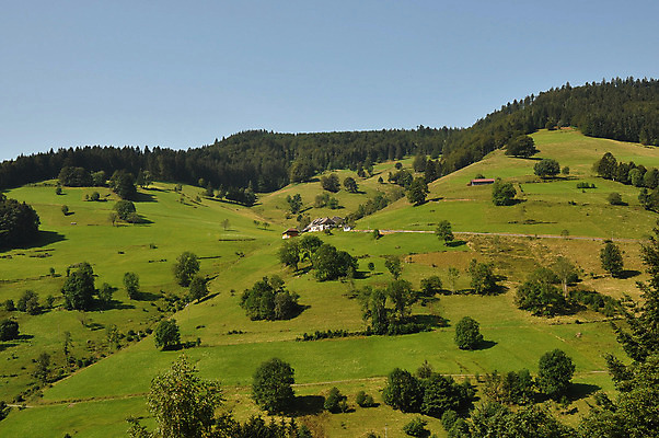 포토 JPG 해외이미지 나무 식물 유럽 도로 길 여행 자연 휴가 독일 풍경 사람없음 빛 검은색 시골 소나무 숲 언덕 스카이라인 삼림지대 해외202004 해외포토 나라 컬러 교통시설 생태계 파일형식 이미지허브